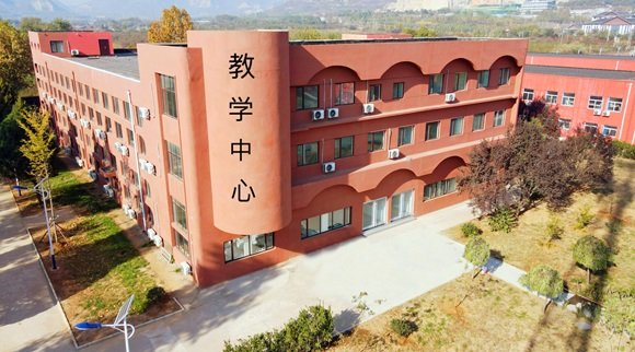 类别