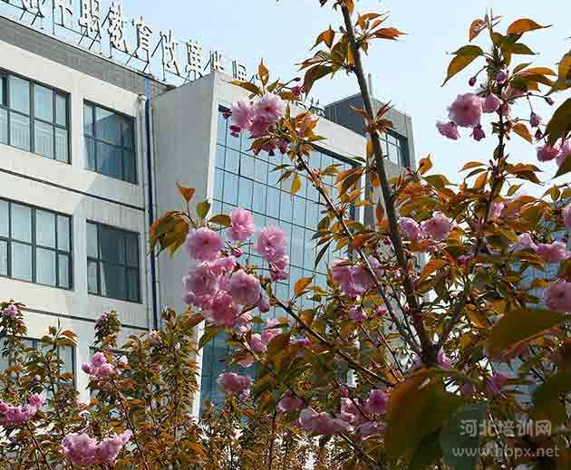 邢台现代职业幸运28预测官网规则须知